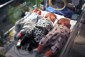 Die Drillinge David, Nico und Ella (v.l.n.r.) schlafen friedlich – bald dürfen sie die Klinik St. Hedwig verlassen. (Foto: Julia Gergovich)