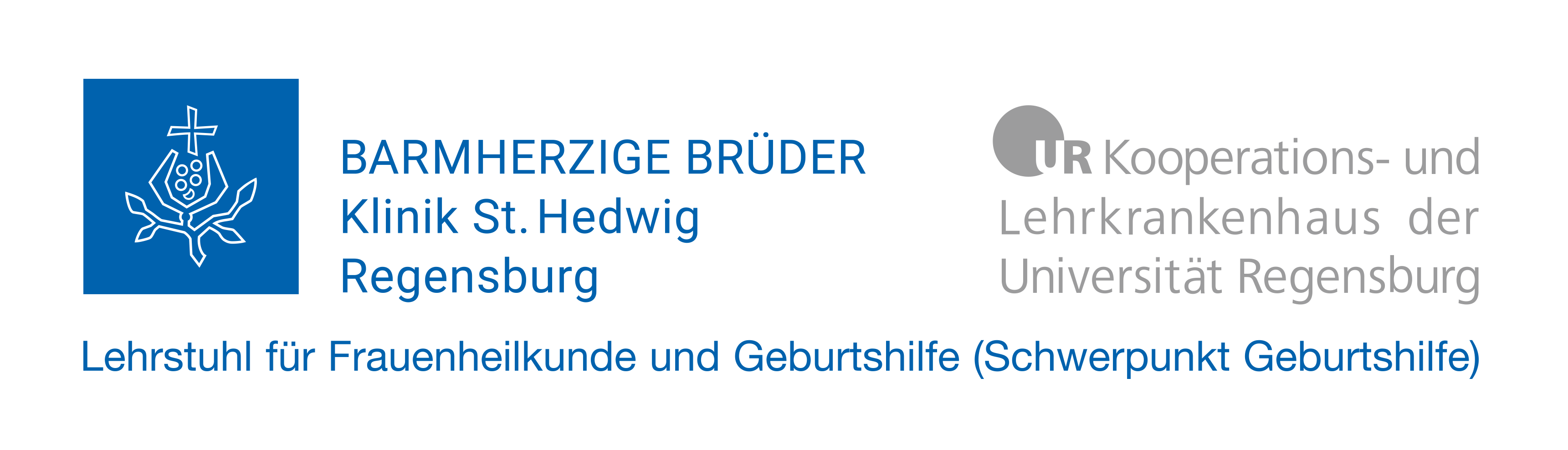 Barmherzige Brüder Regensburg - Standort Klinik St. Hedwig